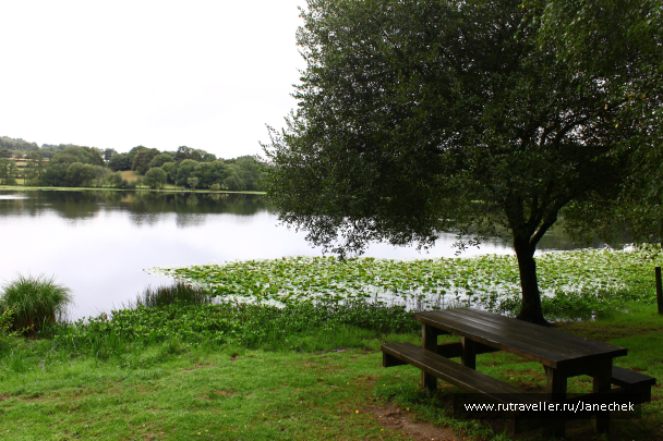 photo 1418630
