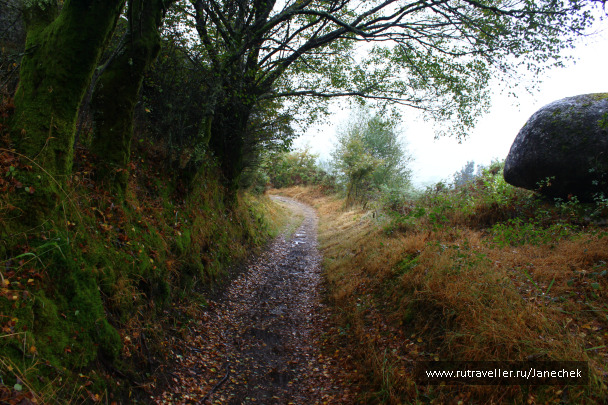 photo 1418632