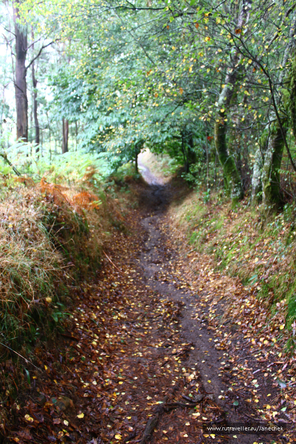 photo 1418633