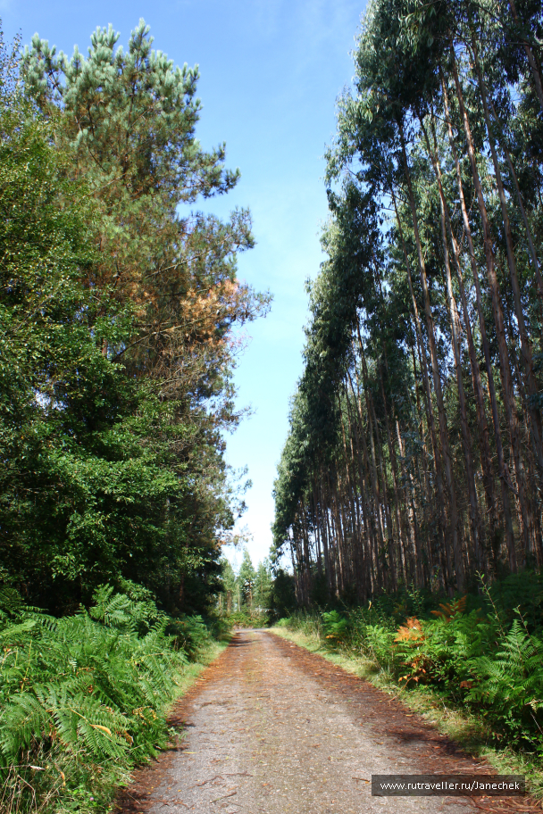 photo 1418808