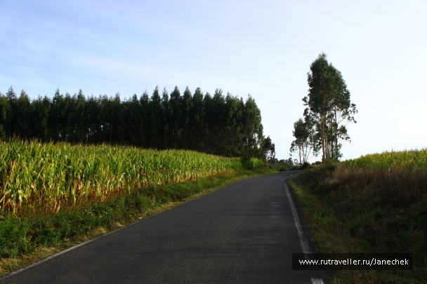 photo 1418810