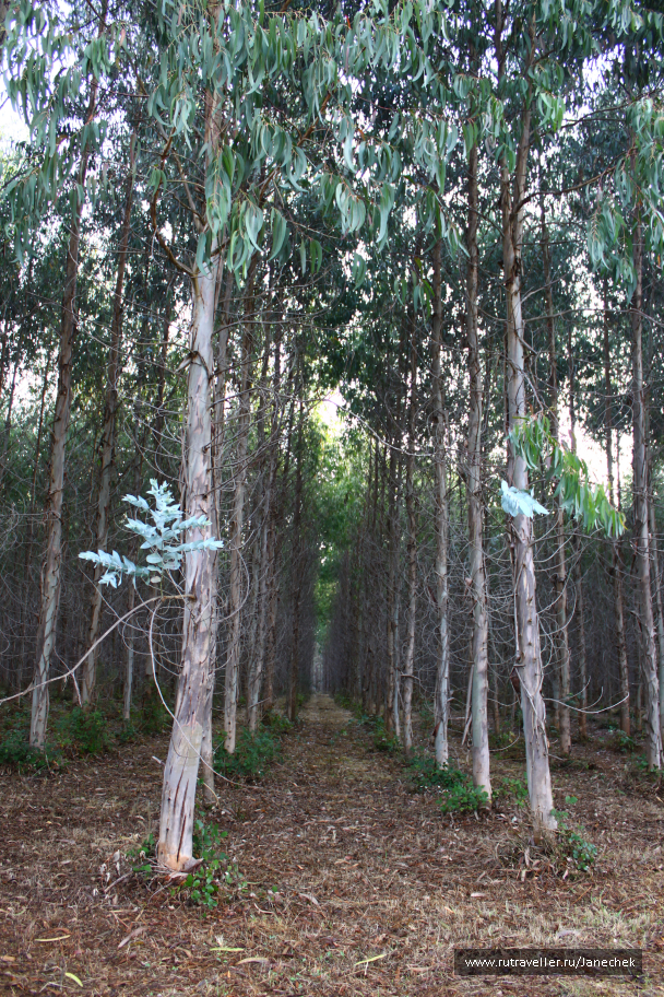 photo 1418811