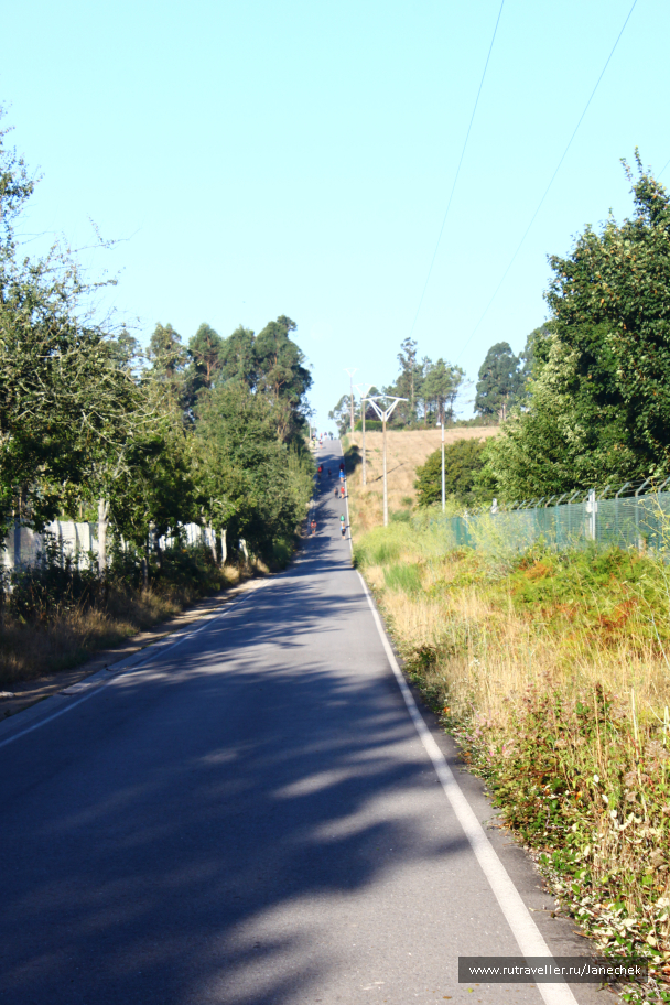 photo 1419315
