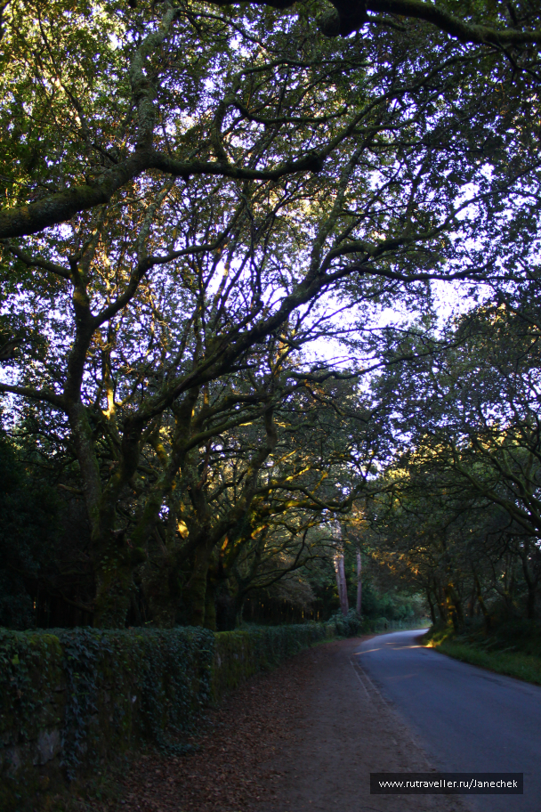 photo 1419316
