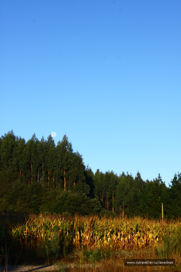 photo 1419317