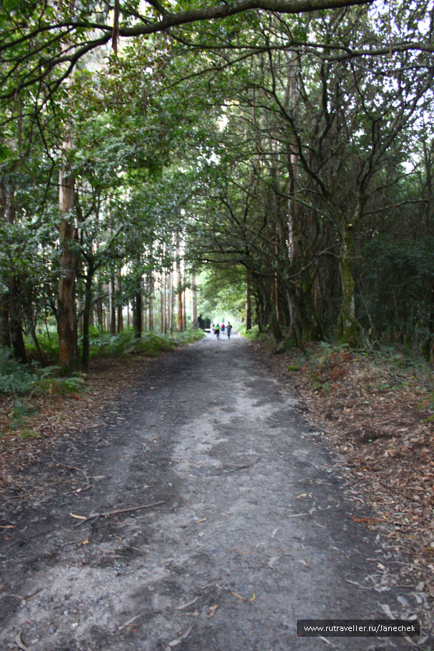 photo 1419321