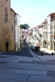 photo 1419355