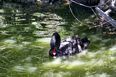 photo 149963