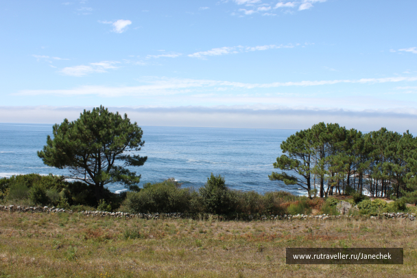 photo 1547981