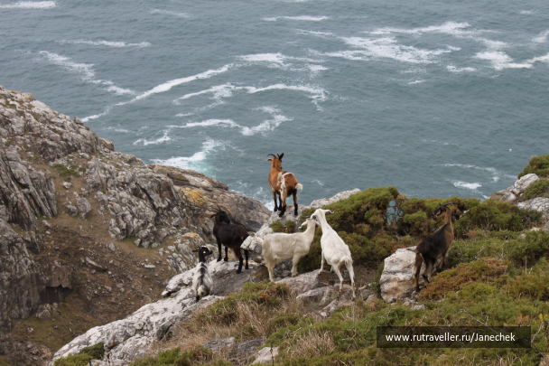 photo 1547983