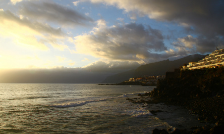 photo 441715