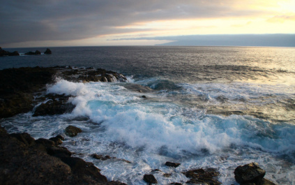 photo 441722