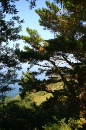 photo 899959