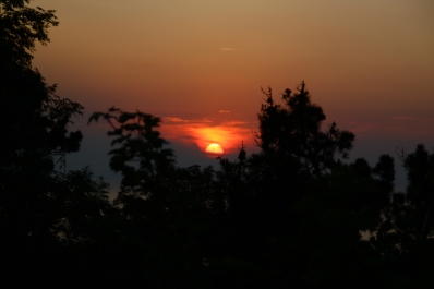 photo 910408