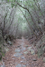photo 1546404