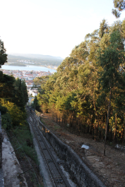 photo 1546407