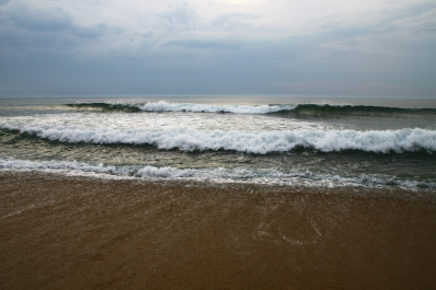 photo 1022557