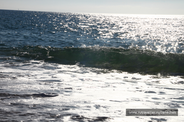 photo 1023373