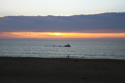 photo 1023376