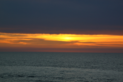 photo 1023377
