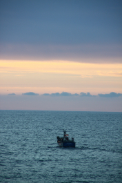 photo 1023379