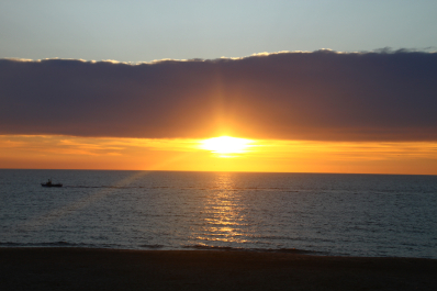 photo 1023380