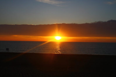 photo 1023382