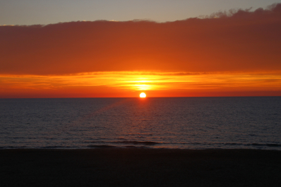 photo 1023384