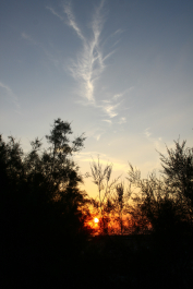 photo 1023399