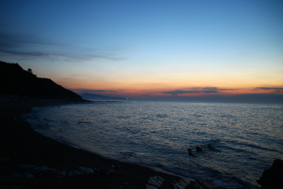 photo 1023411