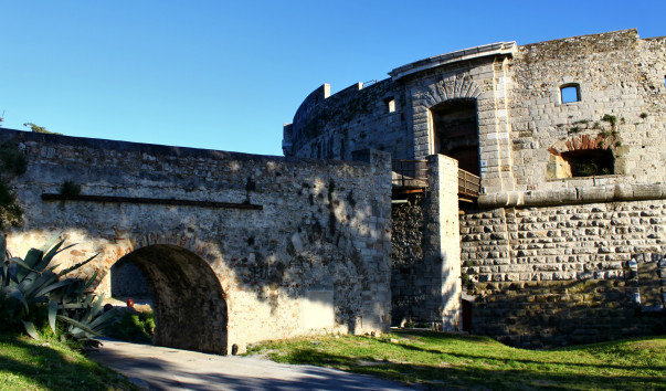 Тулон