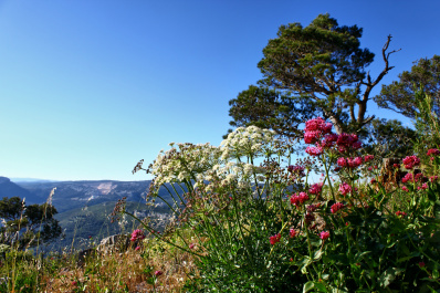 photo 403316