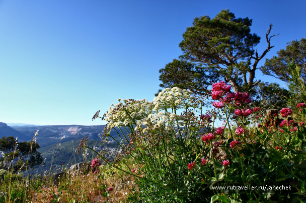 photo 403316