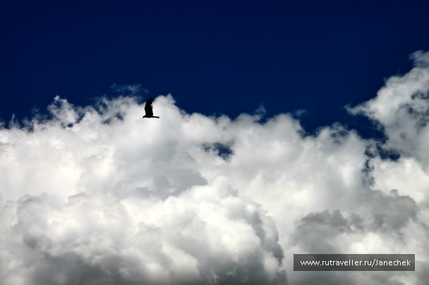 photo 420098