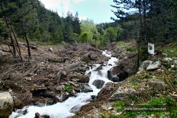photo 424916