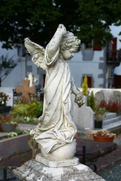 photo 927671