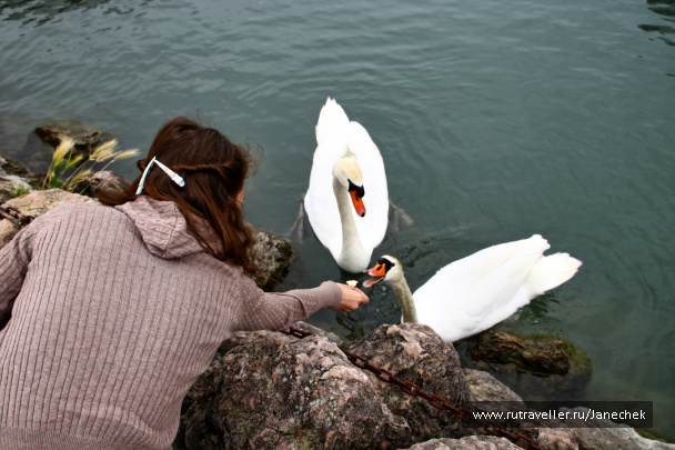photo 413888