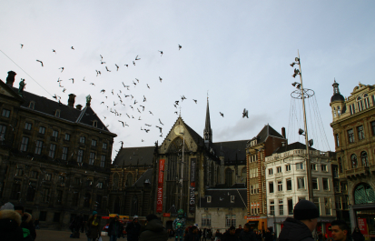 photo 642055