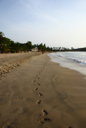 photo 1074169