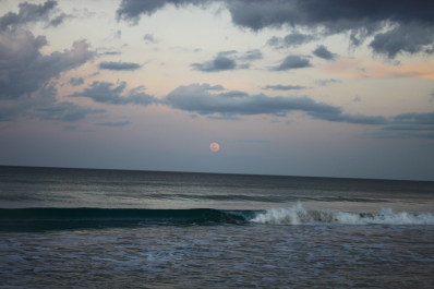 photo 1075369
