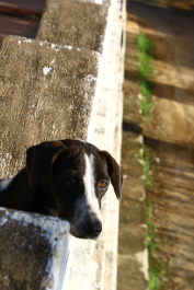 photo 1079531