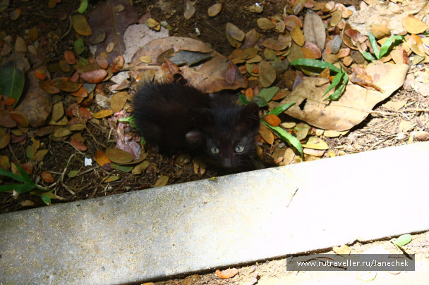 photo 1169919