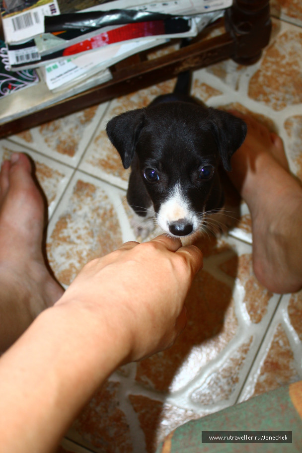 photo 1169920