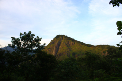 photo 1170103
