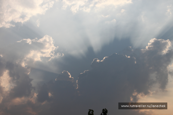 photo 1624014