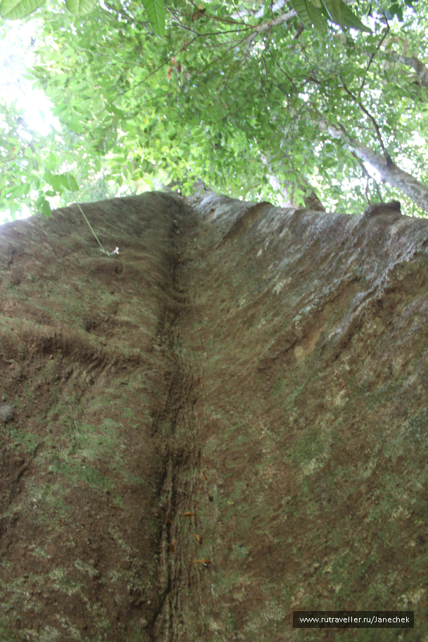 photo 1628387