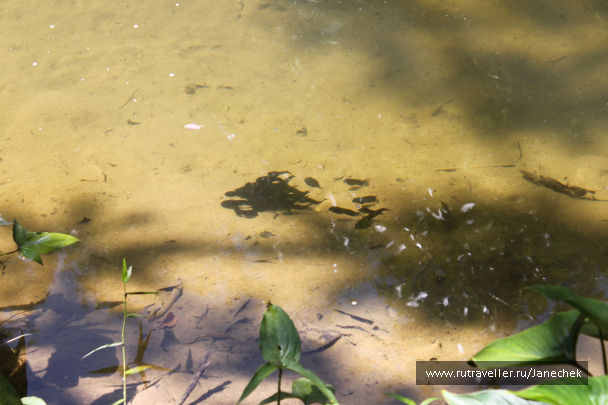 photo 1628392