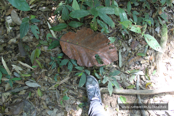 photo 1628396