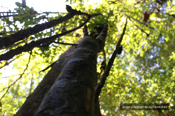 photo 1628402