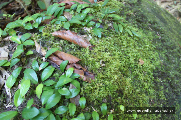 photo 1628406